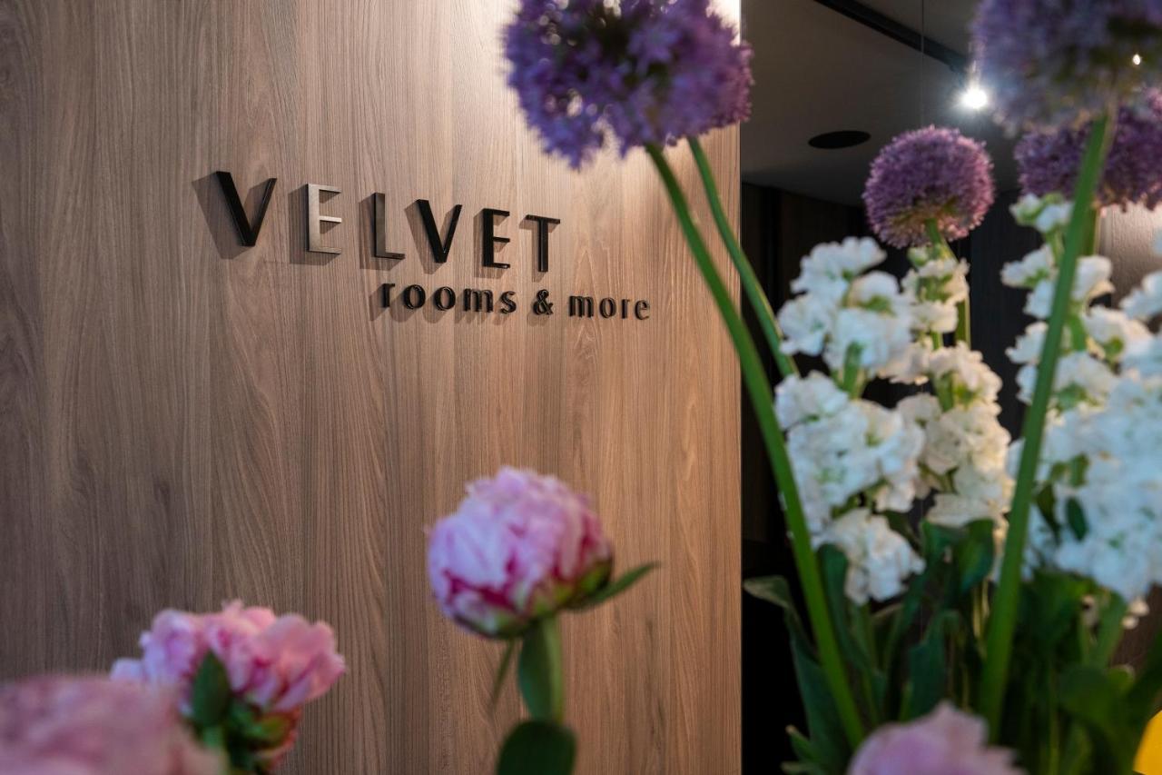 Pensjonat Velvet & 4*